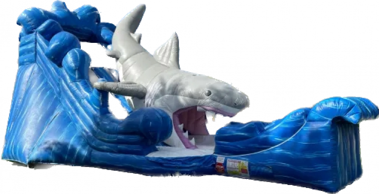 22ft Shark Slide