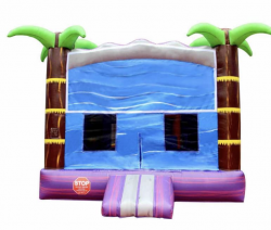 Tropical Bounce House